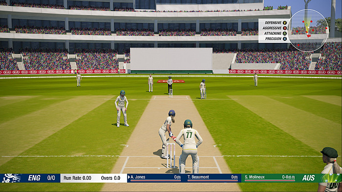 Скриншот из игры Cricket 19