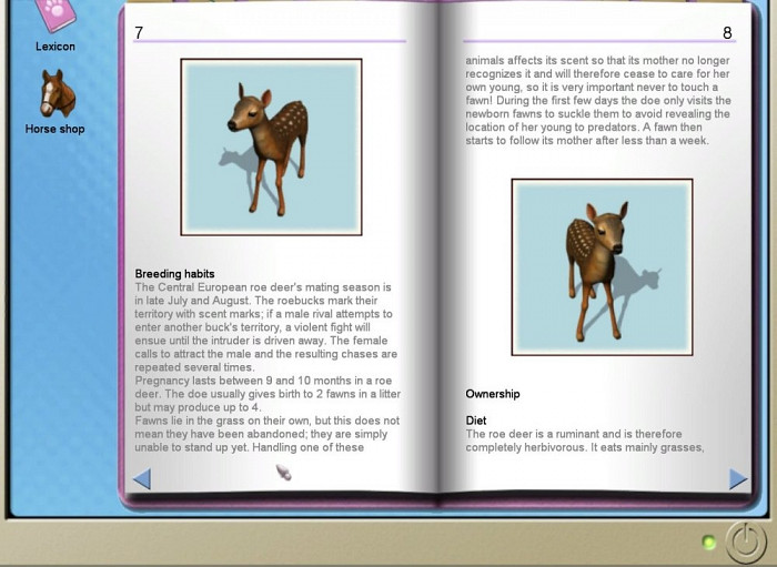 Скриншот из игры Paws & Claws Pet Vet 2: Healing Hands