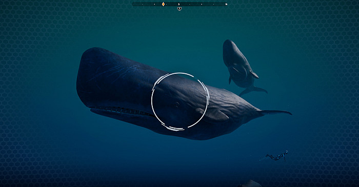Скриншот из игры Beyond Blue