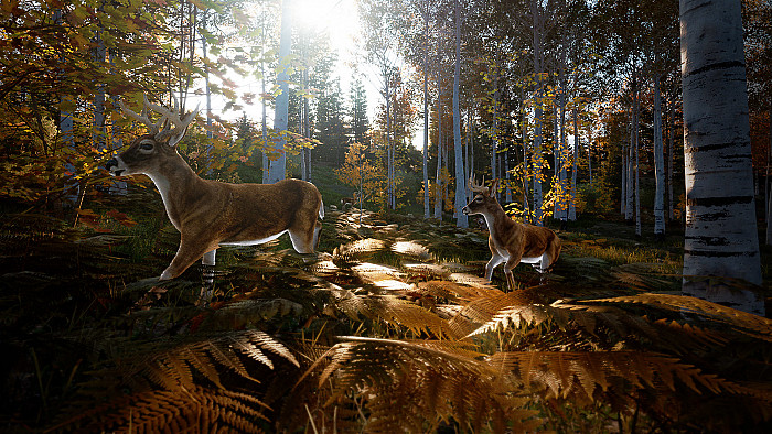 Скриншот из игры Hunting Simulator 2