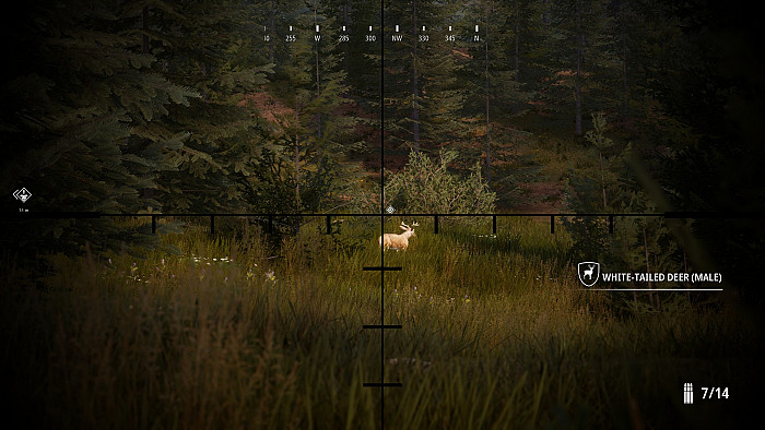 Скриншот из игры Hunting Simulator 2