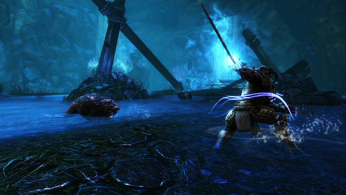 Скриншот из игры Kingdoms of Amalur: Re-Reckoning
