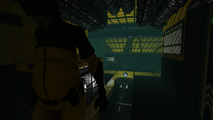 Скриншот из игры Haydee 2