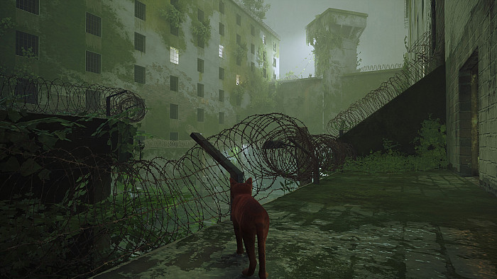 Скриншот из игры Stray