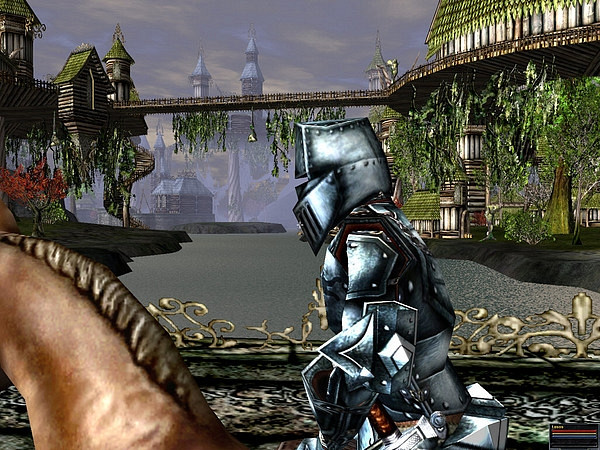 Скриншот из игры Darkfall Online