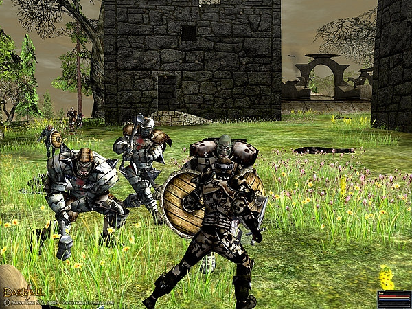 Скриншот из игры Darkfall Online