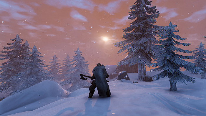 Скриншот из игры Valheim