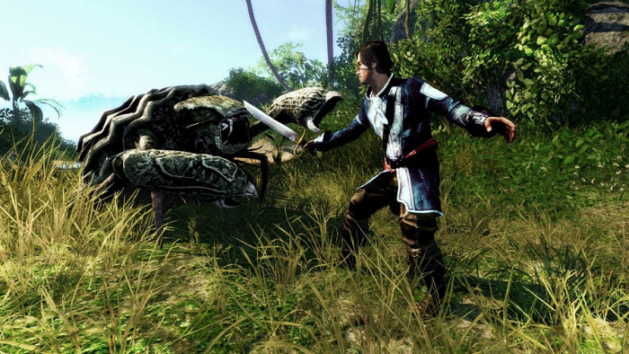 Скриншот из игры Risen 2
