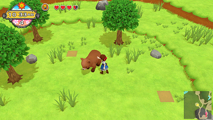Скриншот из игры Harvest Moon: One World