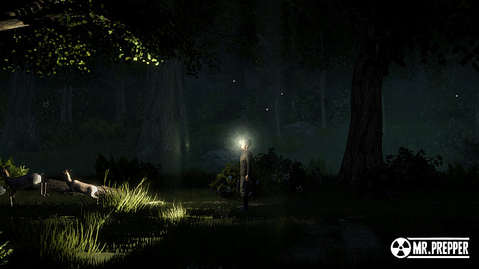 Скриншот из игры Mr. Prepper