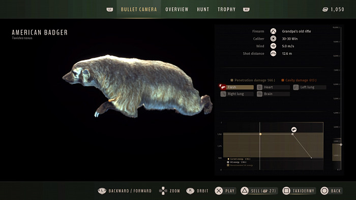 Скриншот из игры Way of the Hunter