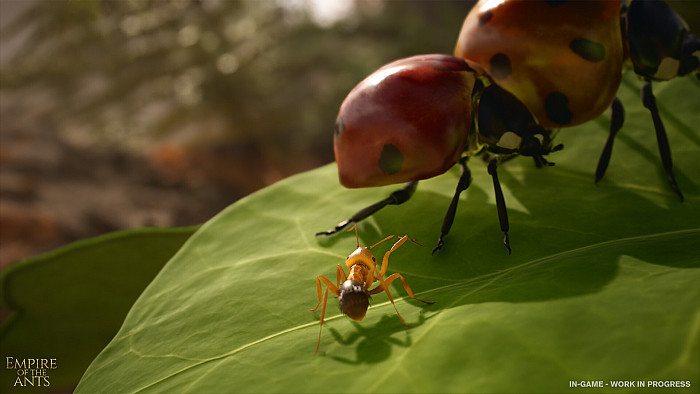 Скриншот из игры Empire of the Ants (2024)