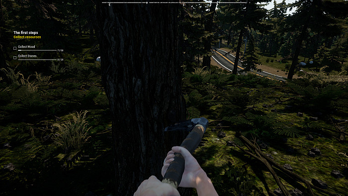 Скриншот из игры Survival: Lost Way