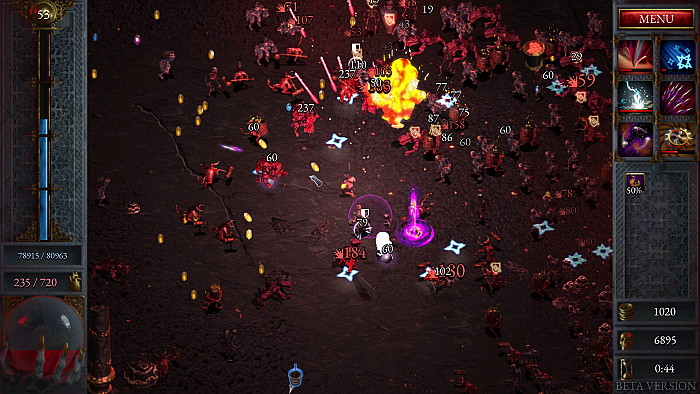 Скриншот из игры Halls of Torment