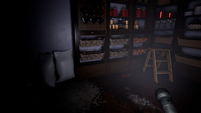 Скриншот из игры Leak