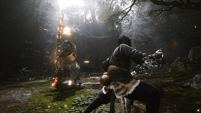 Скриншот из игры Black Myth: Wukong