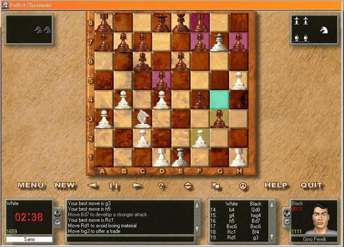 Скриншот из игры Perfect Checkmate