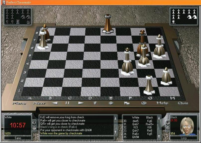 Скриншот из игры Perfect Checkmate