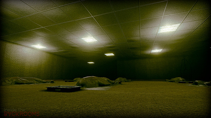 Скриншот из игры Inside the Backrooms
