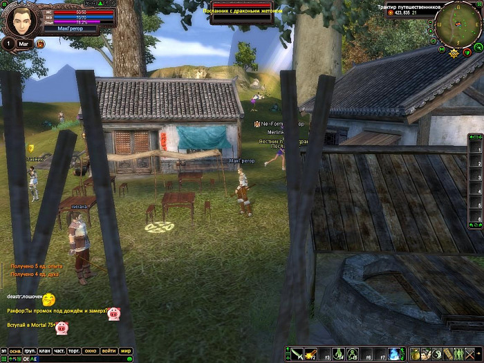 Скриншот из игры Perfect World