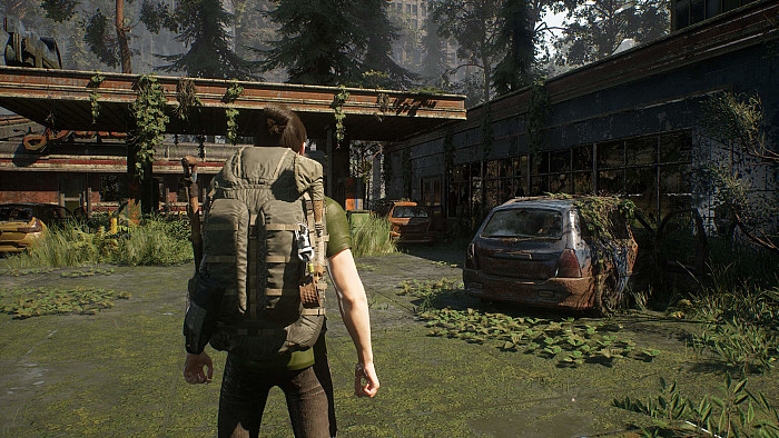 Скриншот из игры Rooted