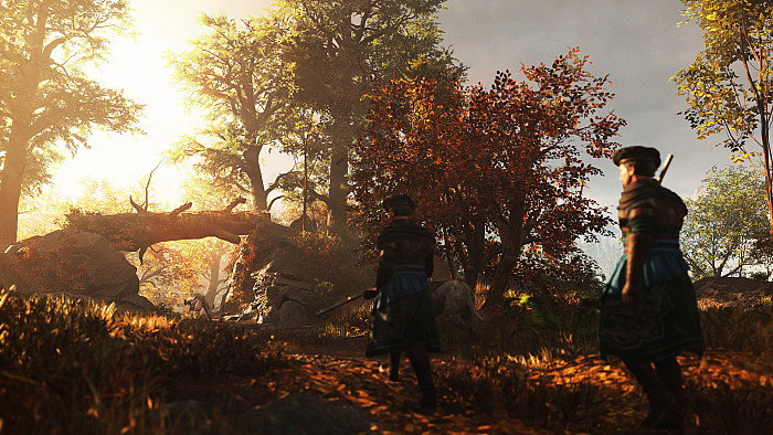 Скриншот из игры GreedFall II: The Dying World
