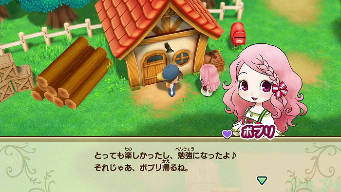 Скриншот из игры Story of Seasons: Friends of Mineral Townl