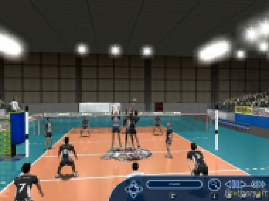 Скриншот из игры International Volleyball 2004
