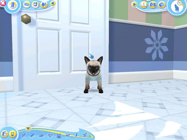 Скриншот из игры Petz Catz 2