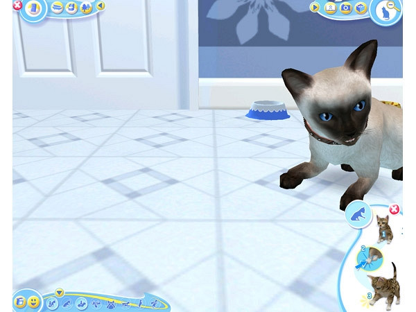 Скриншот из игры Petz Catz 2