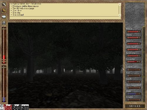 Скриншот из игры Roma Victor
