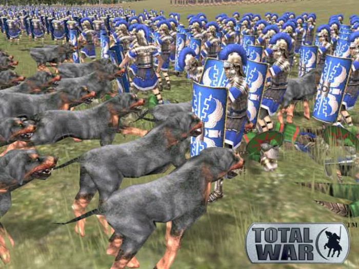 Скриншот из игры Rome: Total War