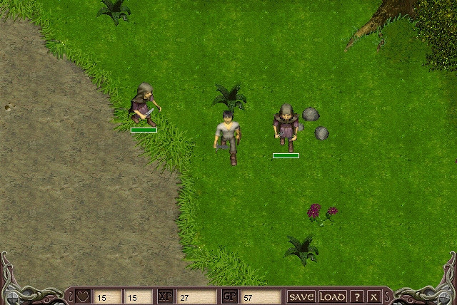 Скриншот из игры Pillars of Garendall