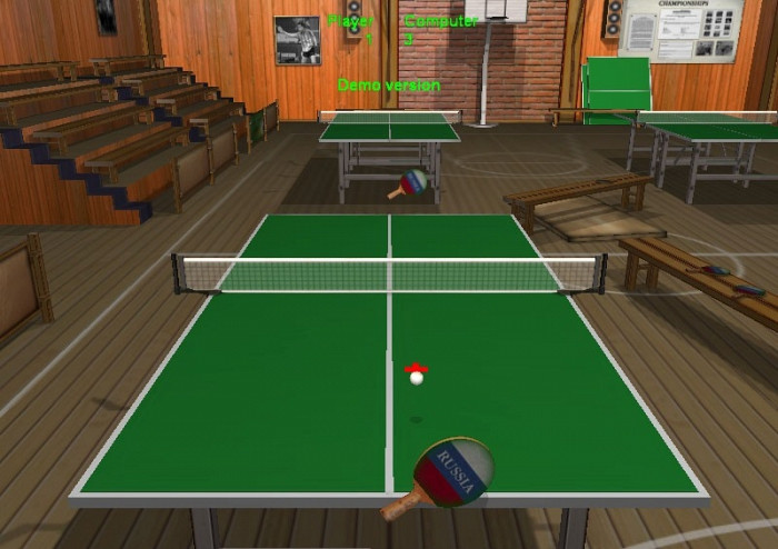 Скриншот из игры Ping-Pong Клуб