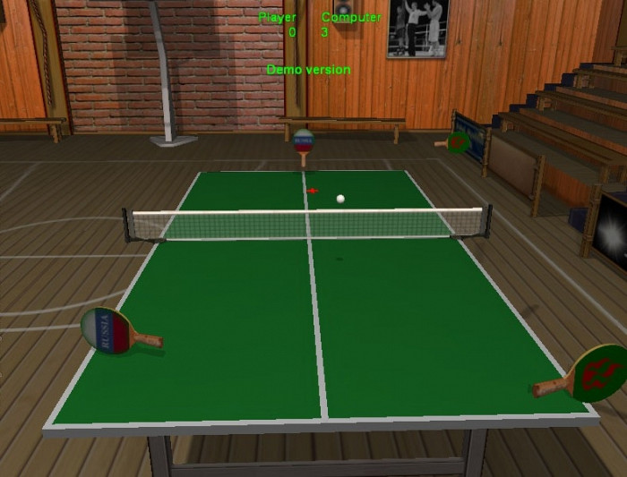 Скриншот из игры Ping-Pong Клуб