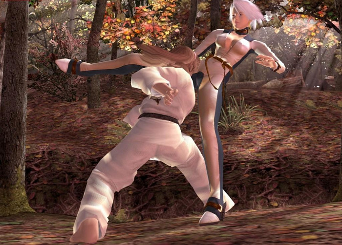 Скриншот из игры Dead or Alive 3