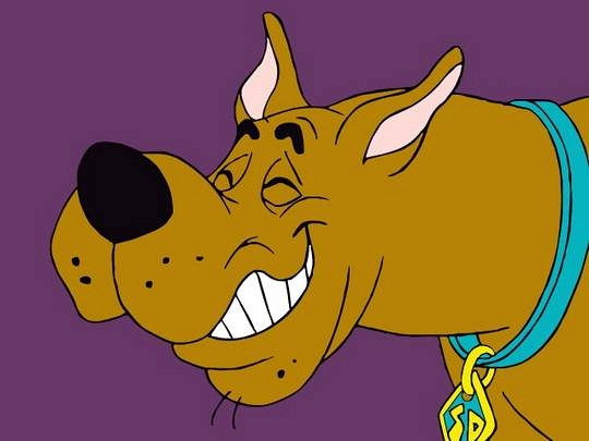 Обложка к игре Scooby-Doo: Phantom of the Knight