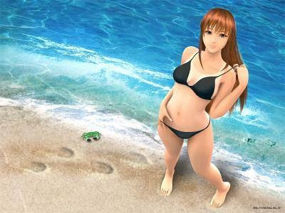 Скриншот из игры Sexy Beach 2