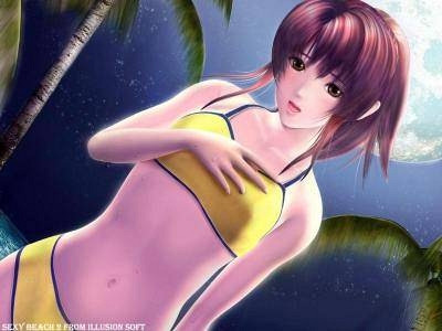 Скриншот из игры Sexy Beach 2