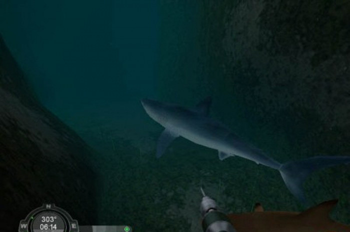 Скриншот из игры Shark! Hunting the Great White