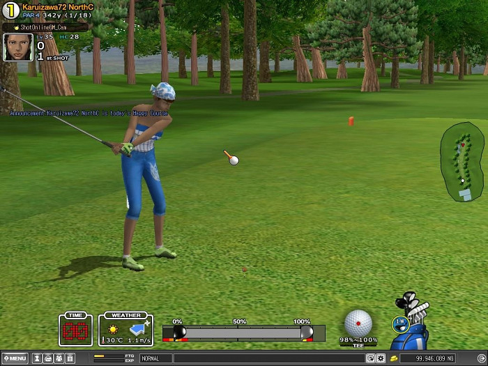 Скриншот из игры Shot Online