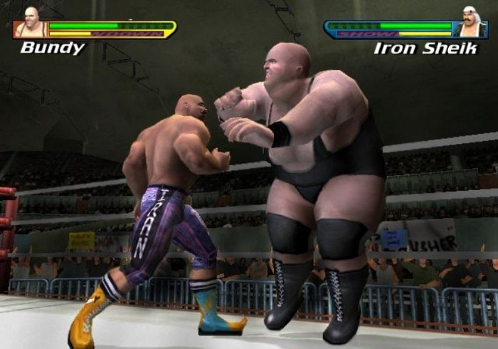 Скриншот из игры Showdown: Legends of Wrestling