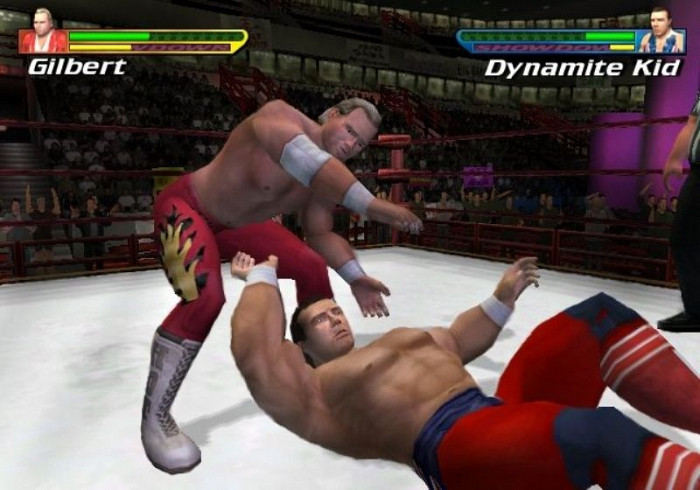 Скриншот из игры Showdown: Legends of Wrestling