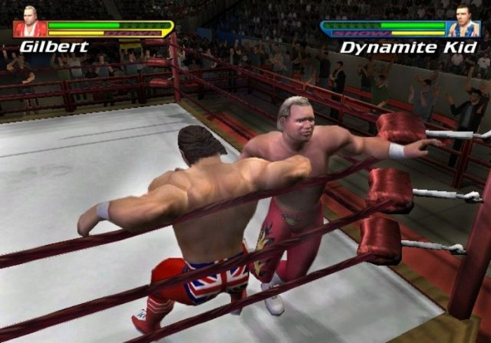 Скриншот из игры Showdown: Legends of Wrestling