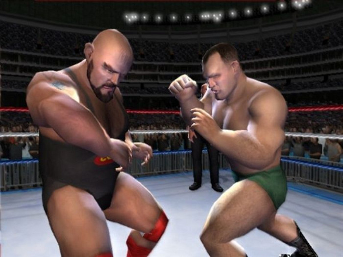 Скриншот из игры Showdown: Legends of Wrestling