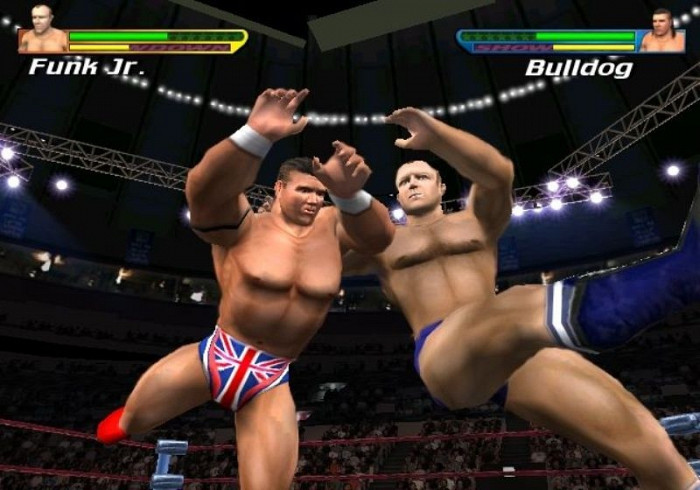 Скриншот из игры Showdown: Legends of Wrestling