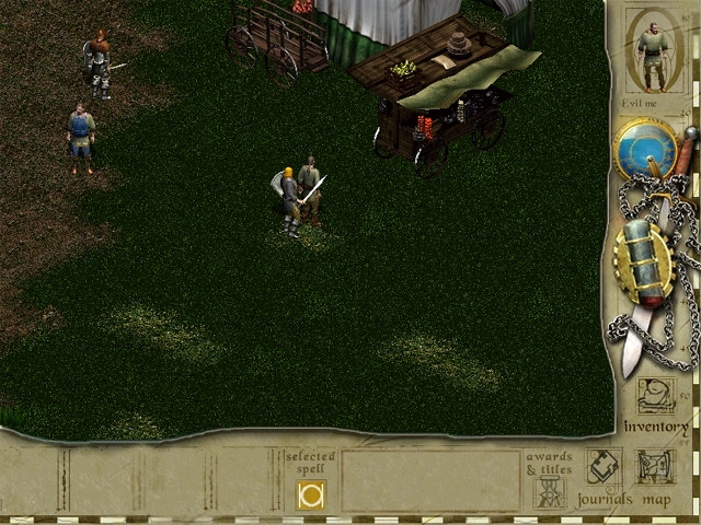Скриншот из игры Siege of Avalon