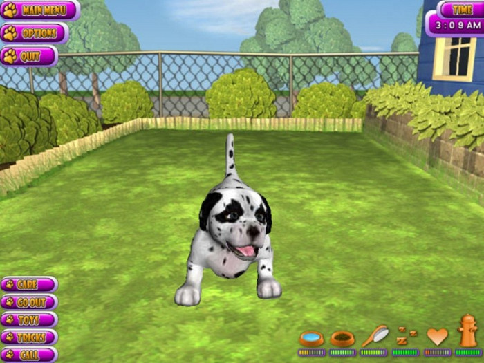 Скриншот из игры Puppy Luv: A New Breed
