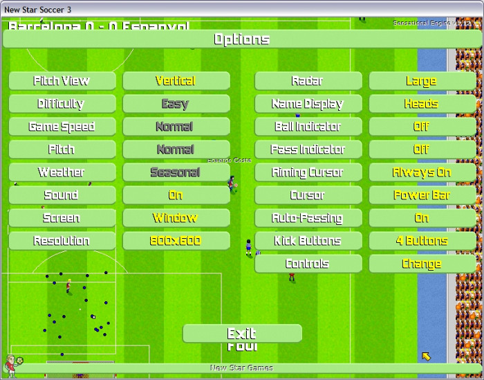 Скриншот из игры New Star Soccer 3