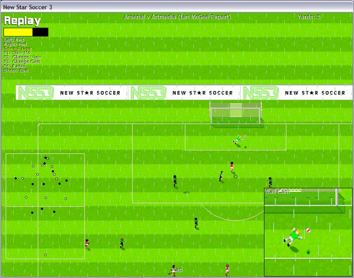 Скриншот из игры New Star Soccer 3